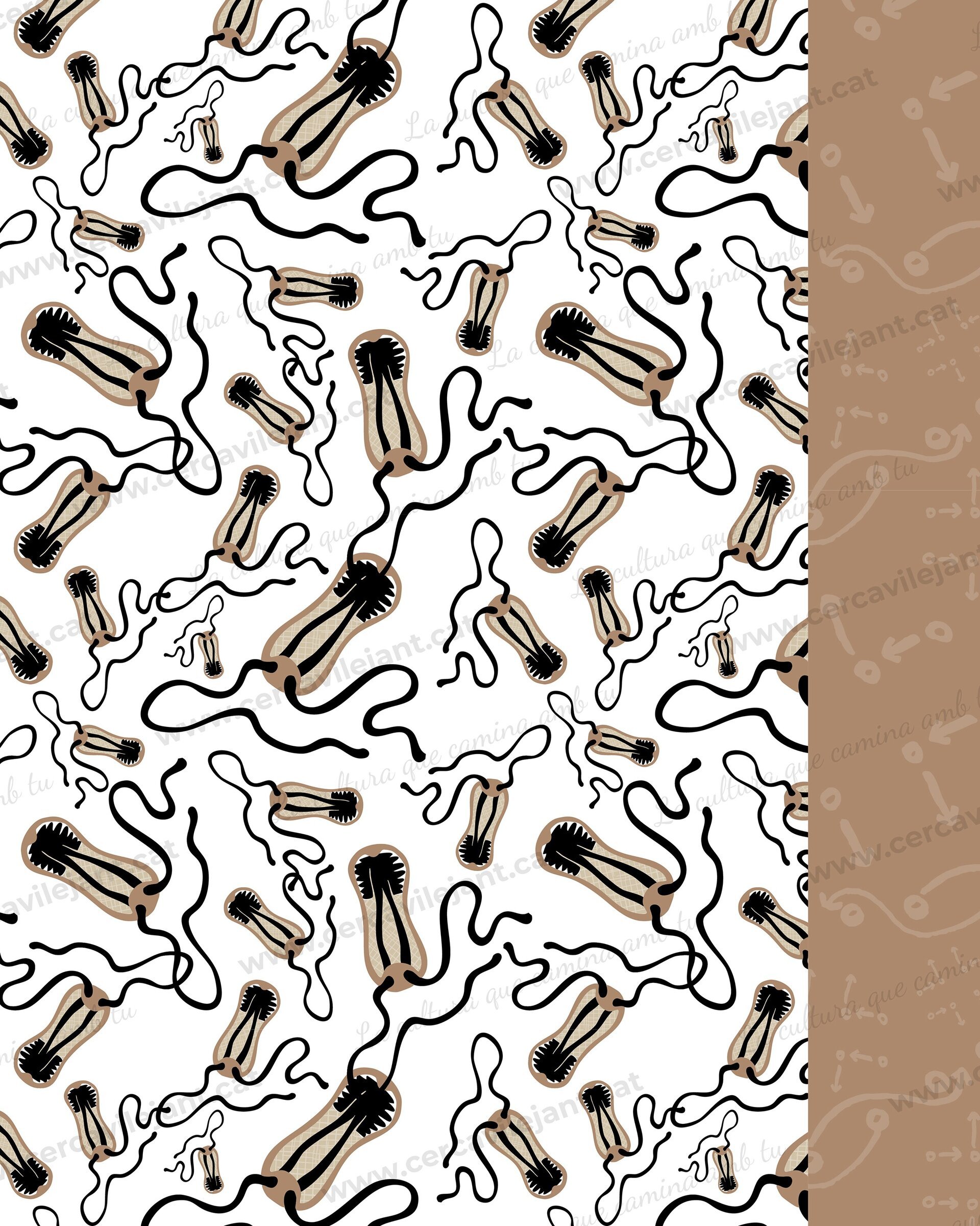 Estampats digitals de la Bastonera de Sabadell - 5